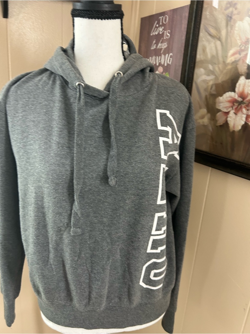 Aeropostale Dark Gray Hoodie